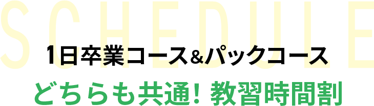 1日卒業コース＆パックコース どちらも共通！教習時間割 ペーパードライバーや初心者の方が安心して学べる、通学・出張どちらも選べるマンツーマン運転教習